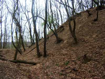 Ságvár, Böre-vár 02