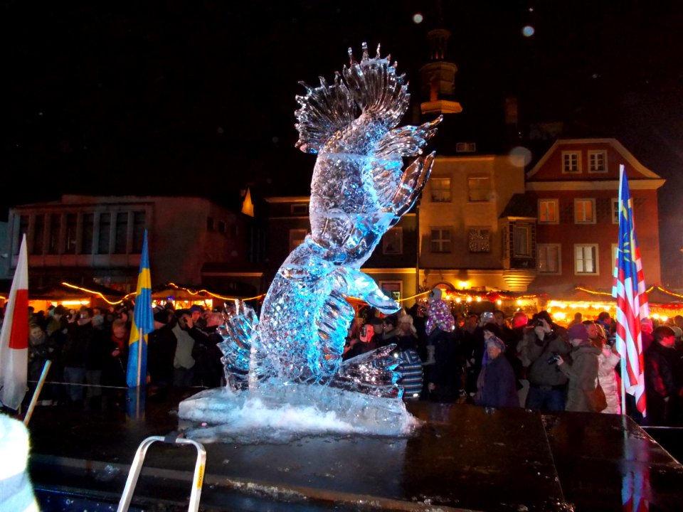 Rzeźby lodowe 2013 011