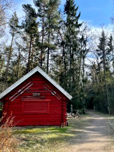 Ryssbergens naturreservat rundslingan photo