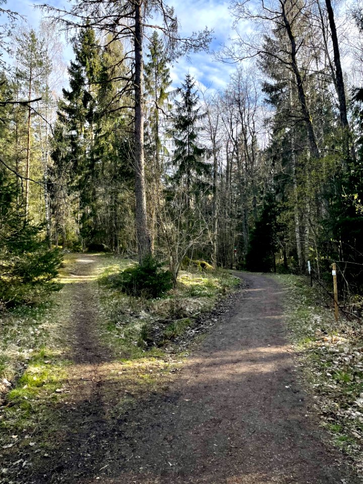 Ryssbergens naturreservat stig