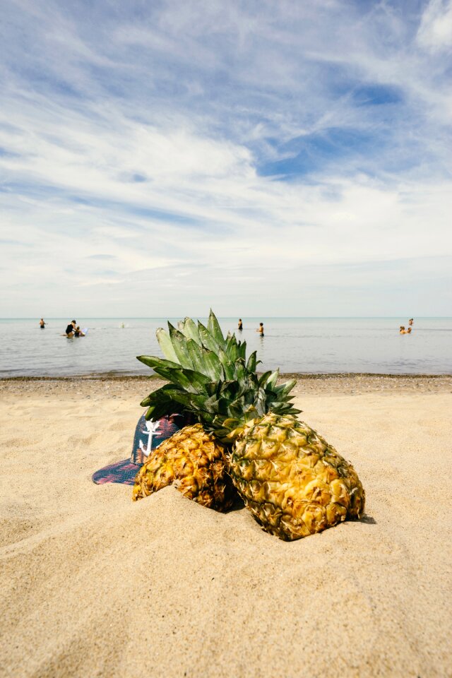 Summertime summer summer vibes