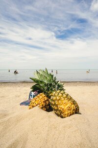 Summertime summer summer vibes