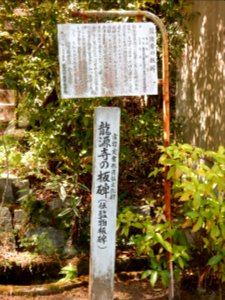 Ryugenji, in Hagi-cho, Toyokawa (2018-04-21) 11