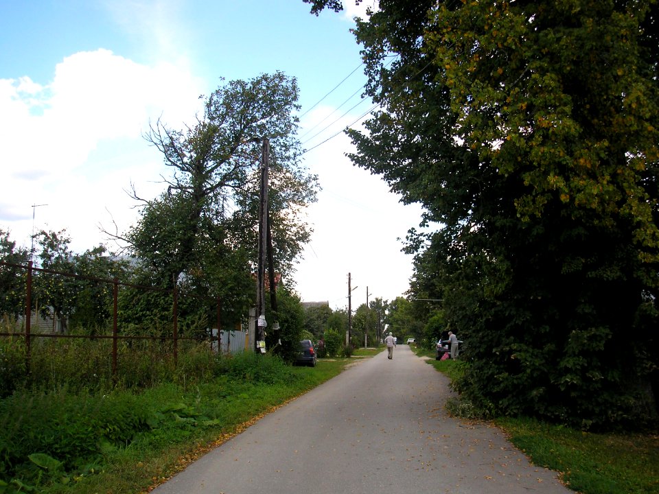 Ryzhkovo 2