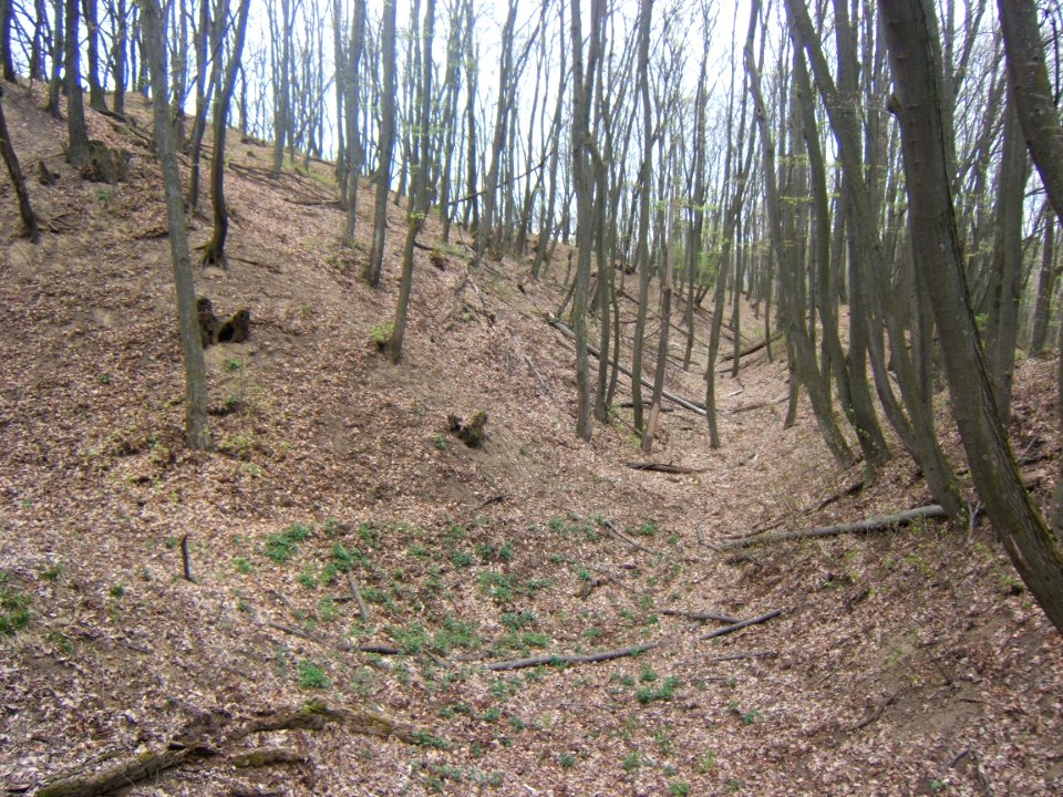 Ságvár, Böre-vár 01
