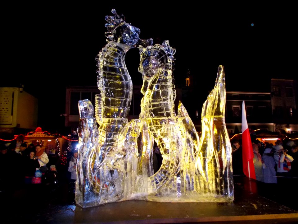 Rzeźby lodowe 2013 001