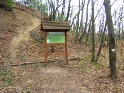 Ságvár, Böre-vár 04
