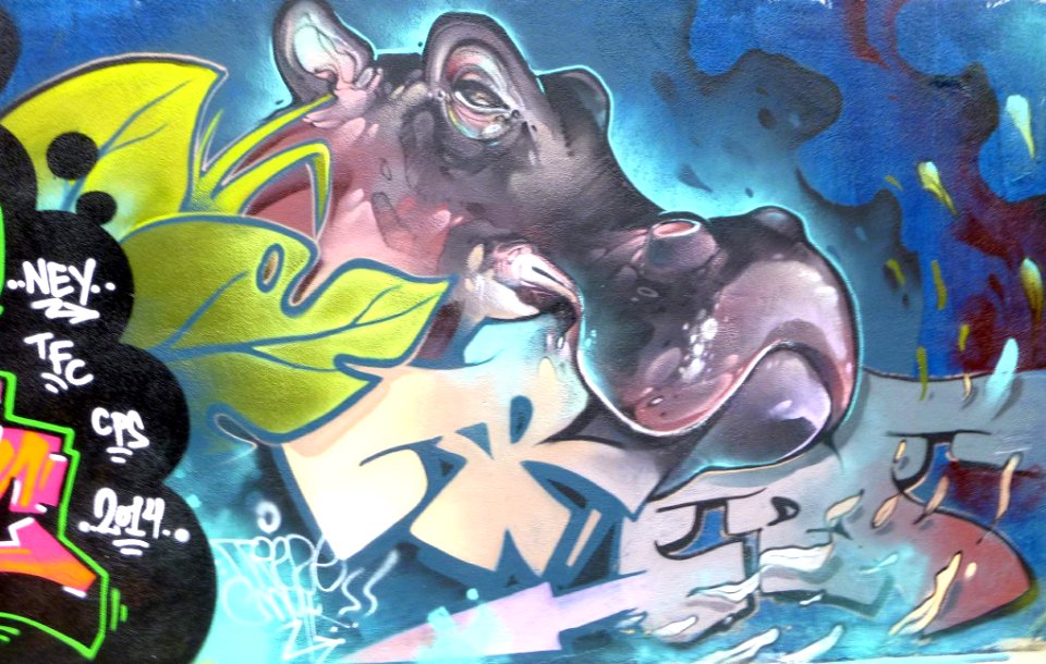 Sabadell - Graffiti 05
