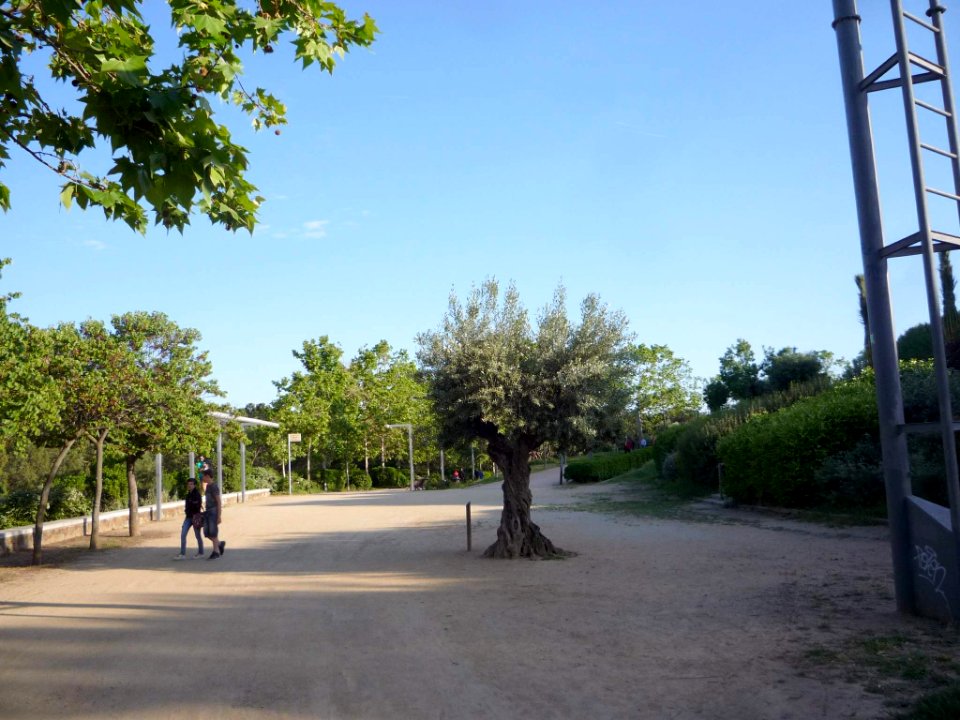 Sabadell - Parc de Catalunya 02