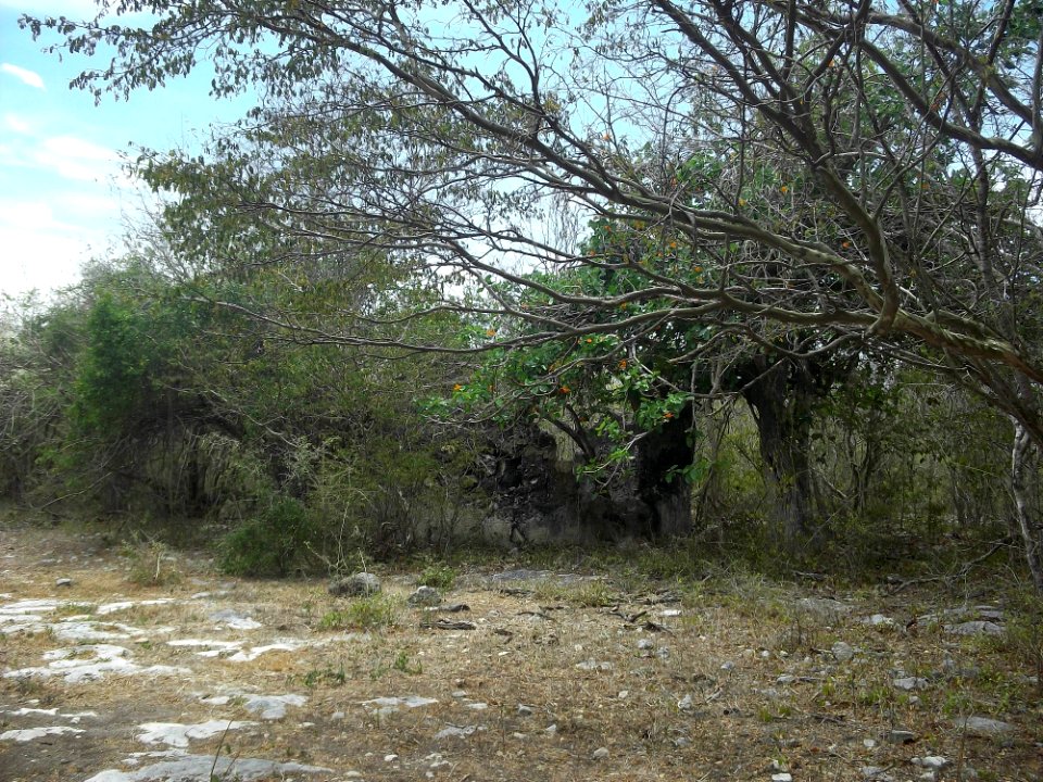 Sabakalal, Yucatán (17)