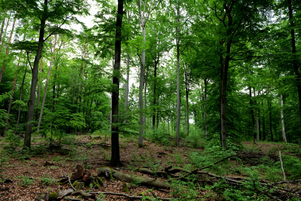 SAC Kleine Schorfheide - Havel 2021-05-29 129