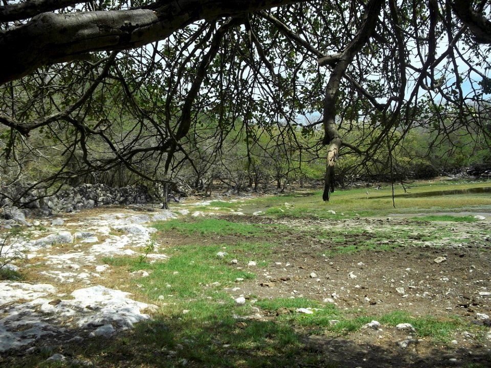 Sabakalal, Yucatán (24)