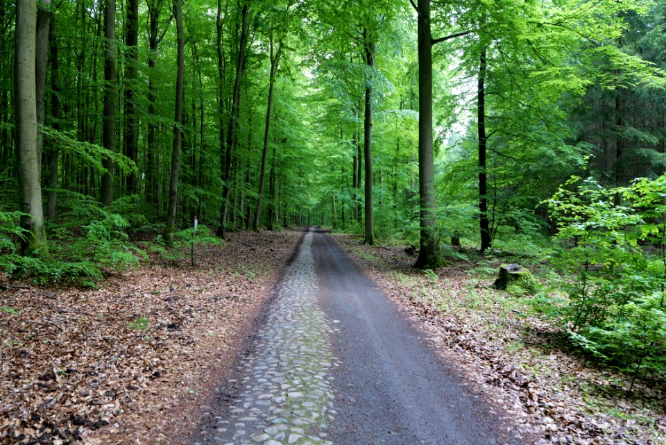 SAC Kleine Schorfheide - Havel 2021-05-29 101