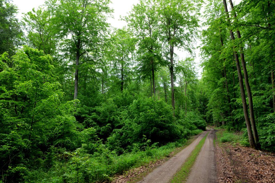SAC Kleine Schorfheide - Havel 2021-05-29 114