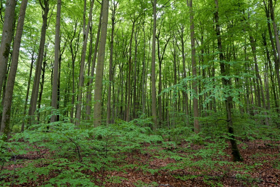 SAC Kleine Schorfheide - Havel 2021-05-29 107