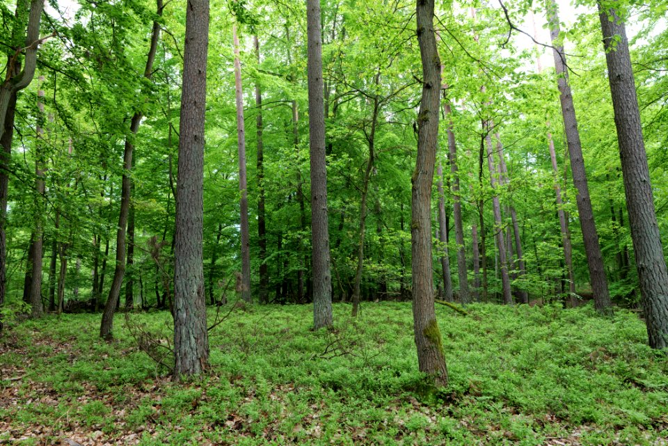 SAC Kleine Schorfheide - Havel 2021-05-29 131