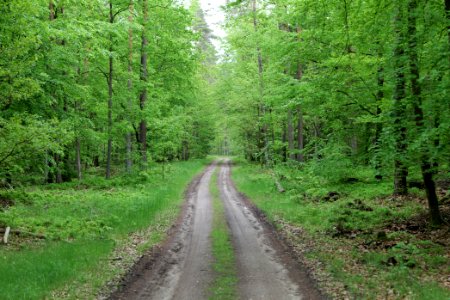 SAC Kleine Schorfheide - Havel 2021-05-29 136