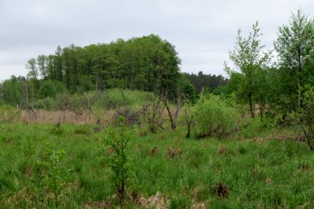 SAC Kleine Schorfheide - Havel 2021-05-29 14