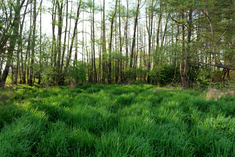 SAC Brunnluch 2021-05-11 09