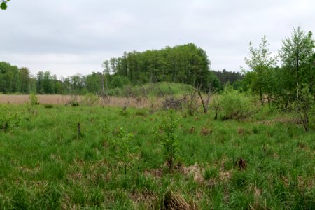 SAC Kleine Schorfheide - Havel 2021-05-29 08
