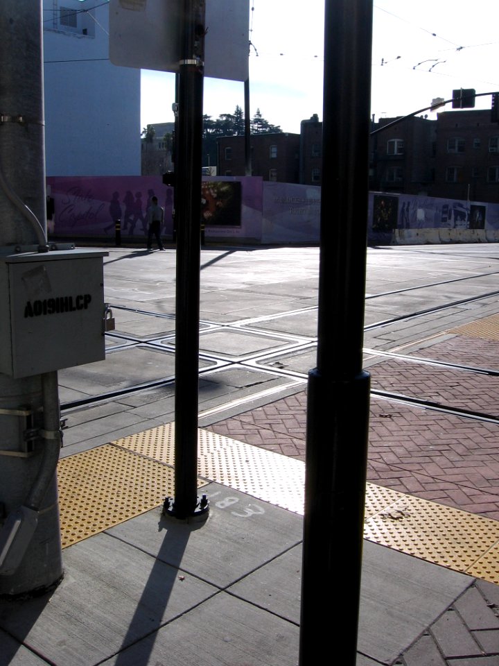 Sacramento tram track frog 3999