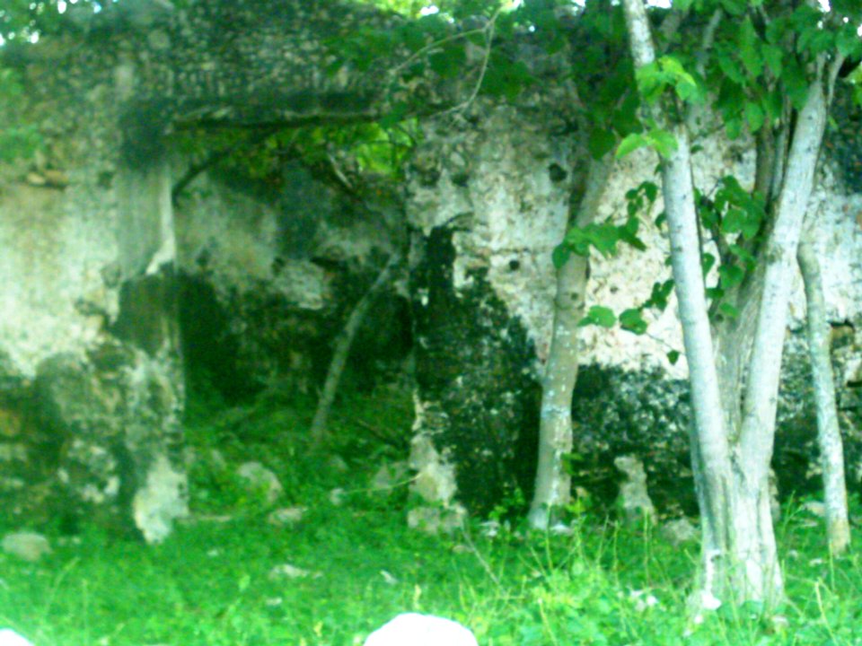 Sac-Nicté (Mérida), Yucatán (03)