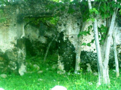 Sac-Nicté (Mérida), Yucatán (03)