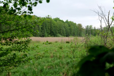 SAC Kleine Schorfheide - Havel 2021-05-29 03