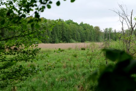 SAC Kleine Schorfheide - Havel 2021-05-29 02