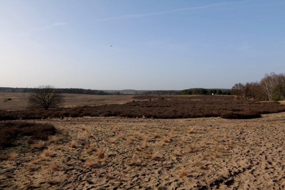 SAC Saarmunder Berg 2021-02-24 40
