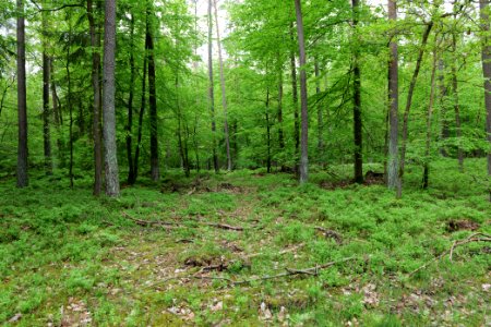 SAC Kleine Schorfheide - Havel 2021-05-29 141