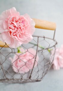 Pink flower petals basket
