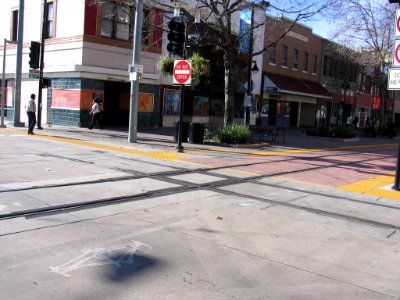 Sacramento tram track frog 4036