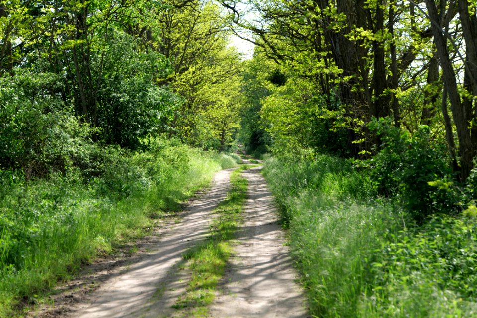 SAC Stromgewässer 2021-05-29 15