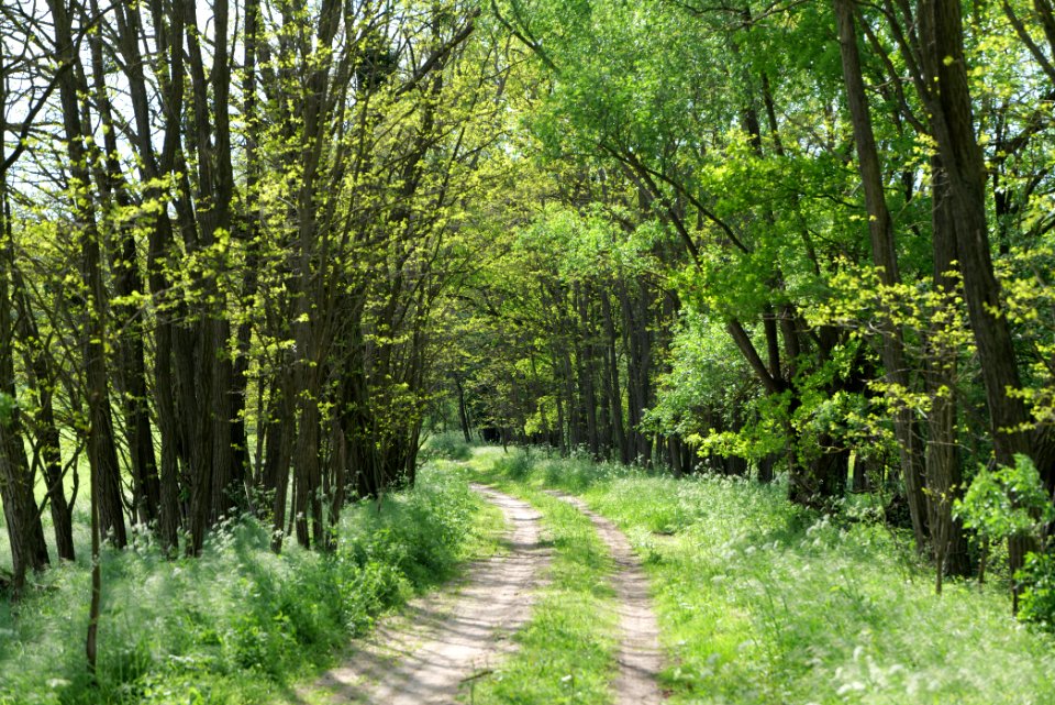 SAC Stromgewässer 2021-05-29 12