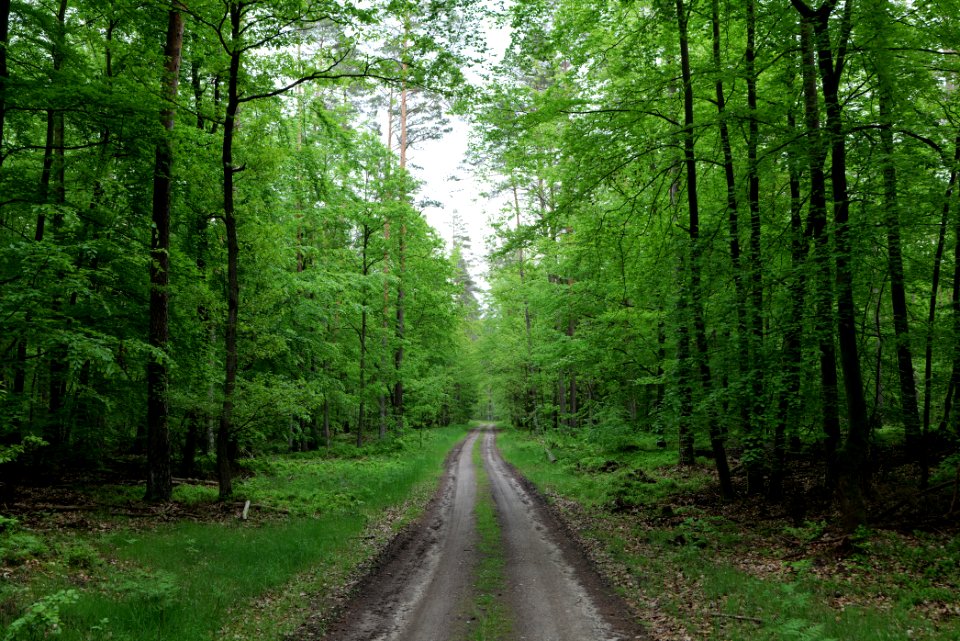 SAC Kleine Schorfheide - Havel 2021-05-29 138