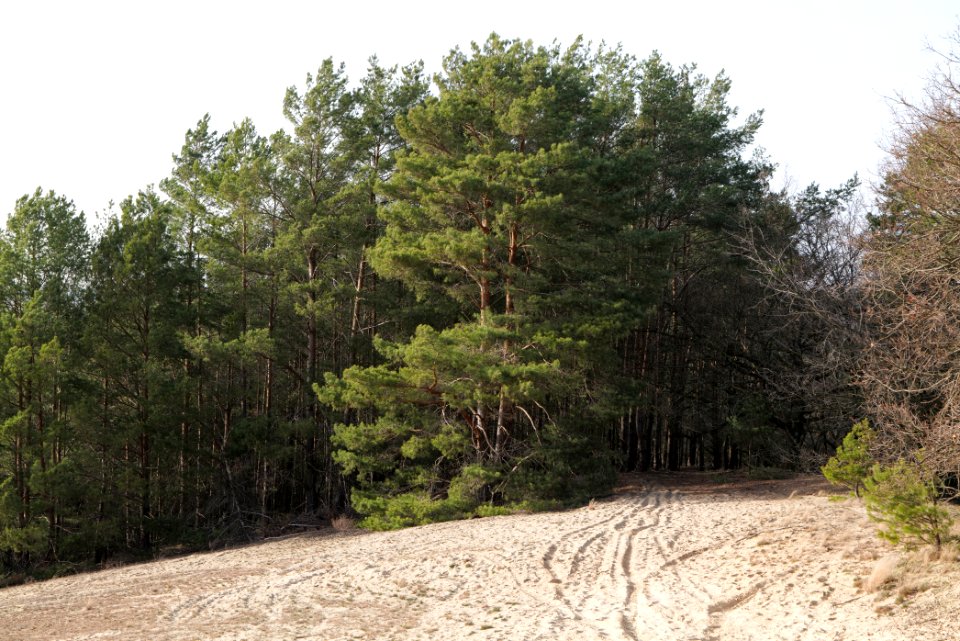 SAC Saarmunder Berg 2021-02-24 85