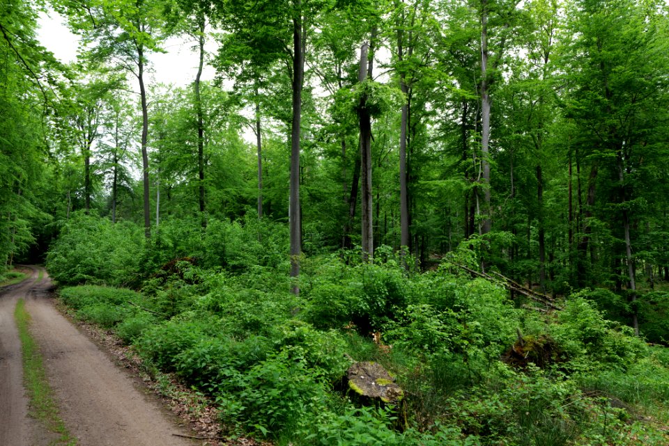 SAC Kleine Schorfheide - Havel 2021-05-29 119