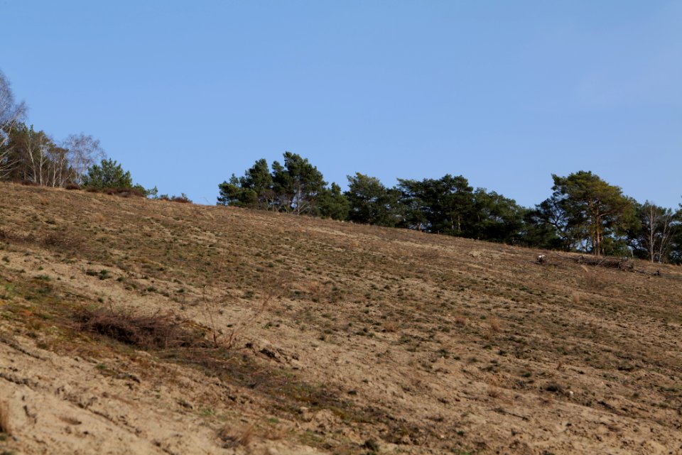 SAC Saarmunder Berg 2021-02-24 97