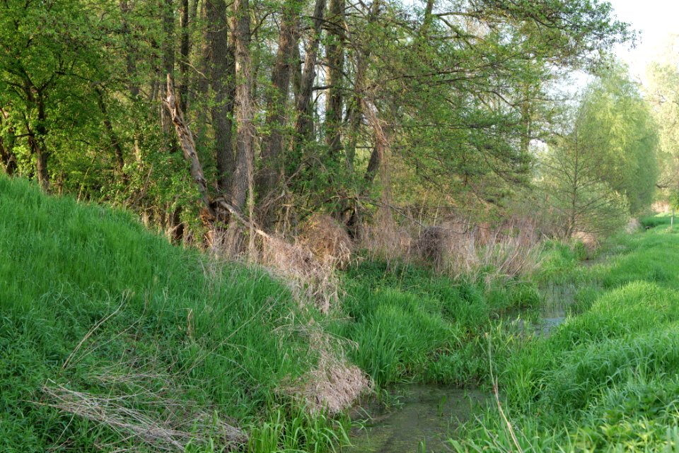 SAC Brunnluch 2021-05-11 01