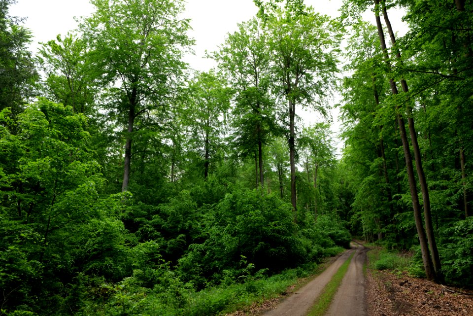 SAC Kleine Schorfheide - Havel 2021-05-29 113