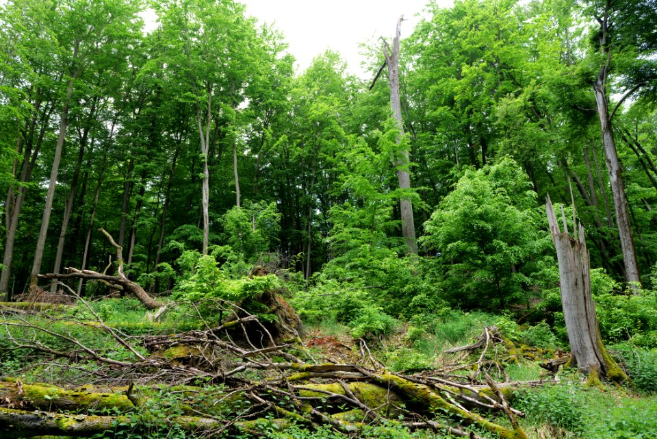 SAC Kleine Schorfheide - Havel 2021-05-29 128