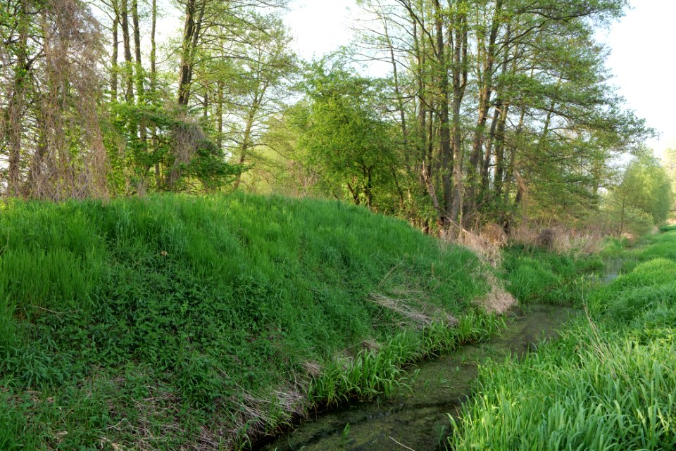 SAC Brunnluch 2021-05-11 02