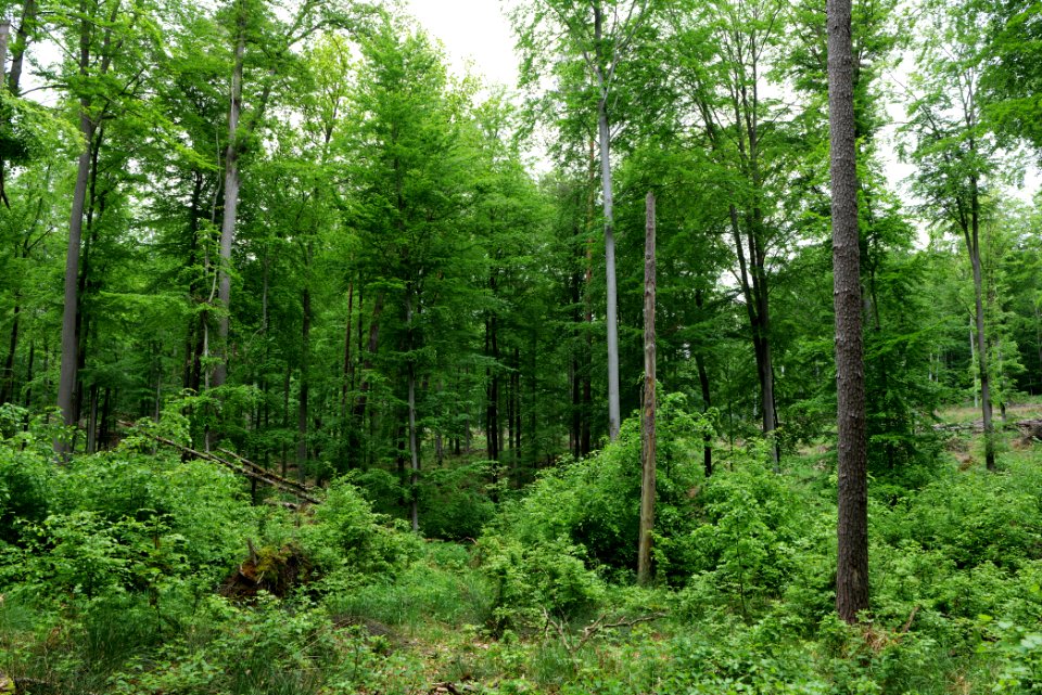 SAC Kleine Schorfheide - Havel 2021-05-29 117