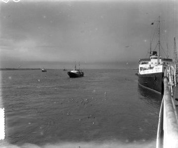 S. S. Faustus gezonken in Nieuwe Waterweg . De scheepvaart ligt stil, Bestanddeelnr 905-4037