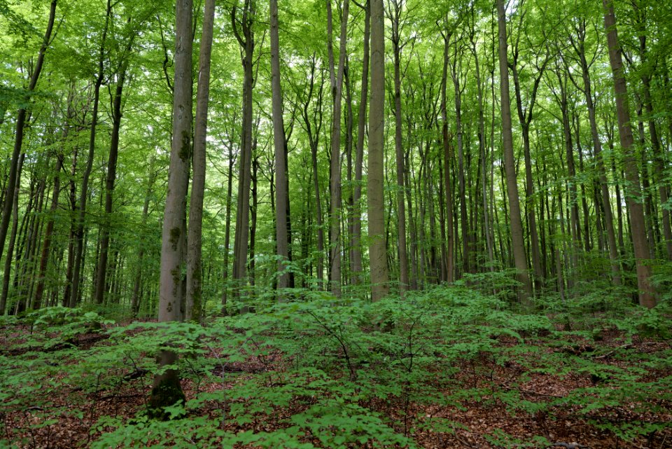 SAC Kleine Schorfheide - Havel 2021-05-29 110