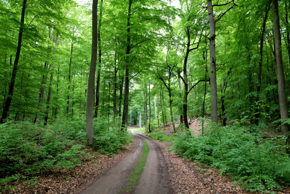 SAC Kleine Schorfheide - Havel 2021-05-29 122
