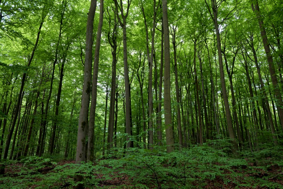 SAC Kleine Schorfheide - Havel 2021-05-29 109