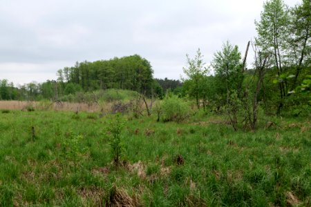 SAC Kleine Schorfheide - Havel 2021-05-29 10