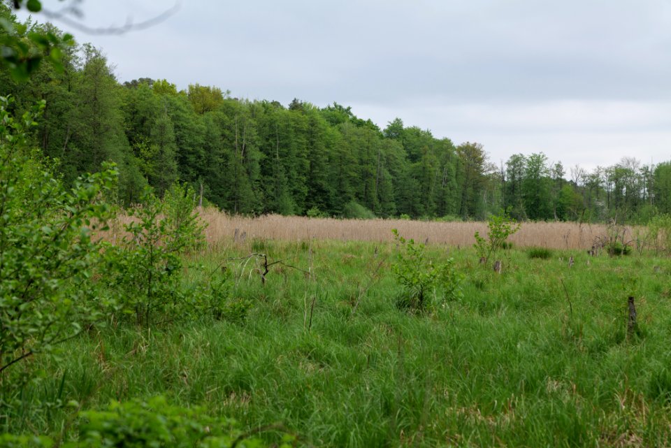 SAC Kleine Schorfheide - Havel 2021-05-29 12